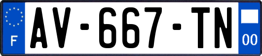 AV-667-TN