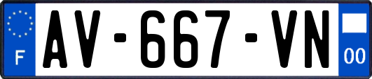 AV-667-VN