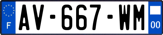 AV-667-WM