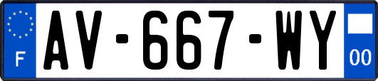 AV-667-WY