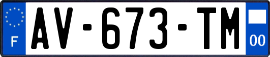 AV-673-TM