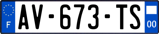 AV-673-TS
