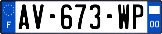 AV-673-WP