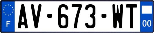 AV-673-WT