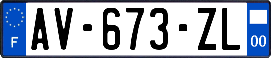 AV-673-ZL