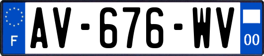AV-676-WV