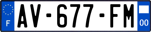 AV-677-FM