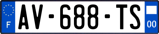 AV-688-TS