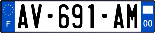 AV-691-AM