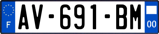 AV-691-BM