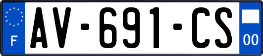 AV-691-CS
