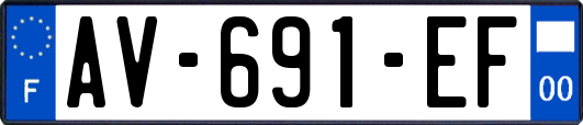 AV-691-EF