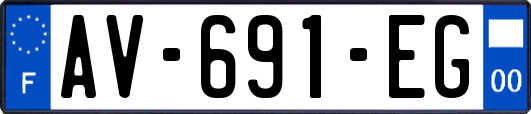AV-691-EG