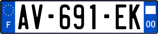 AV-691-EK