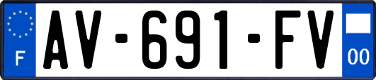 AV-691-FV
