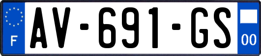 AV-691-GS