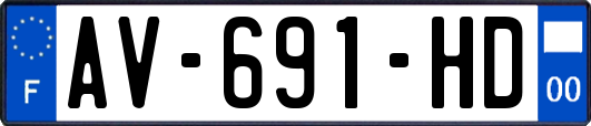 AV-691-HD
