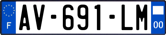 AV-691-LM