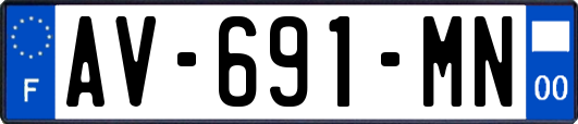 AV-691-MN