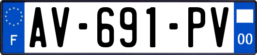 AV-691-PV