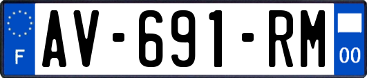 AV-691-RM