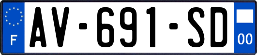 AV-691-SD