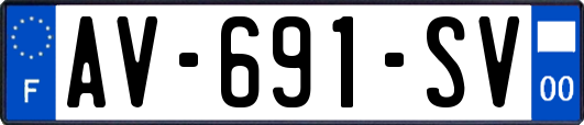 AV-691-SV