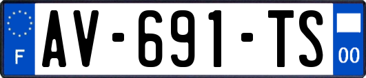 AV-691-TS