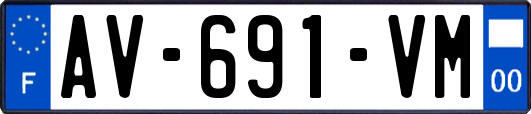 AV-691-VM
