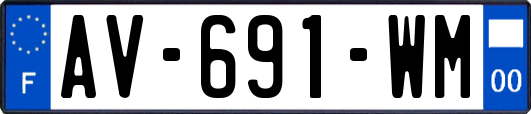 AV-691-WM