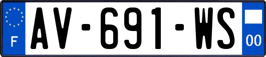 AV-691-WS