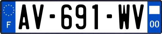 AV-691-WV