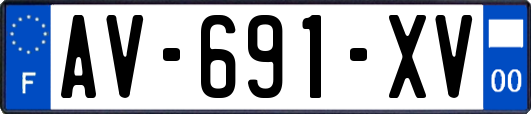 AV-691-XV