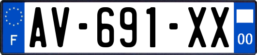 AV-691-XX
