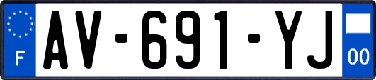 AV-691-YJ