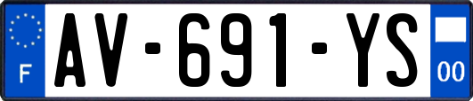 AV-691-YS