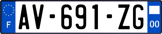 AV-691-ZG