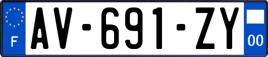 AV-691-ZY