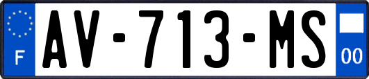AV-713-MS