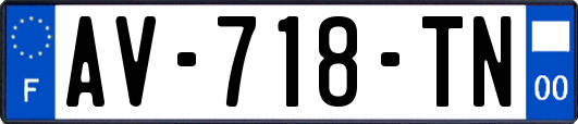 AV-718-TN