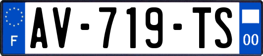 AV-719-TS