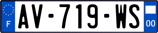 AV-719-WS