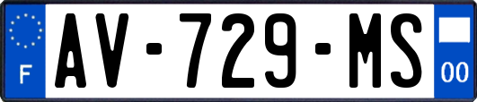 AV-729-MS