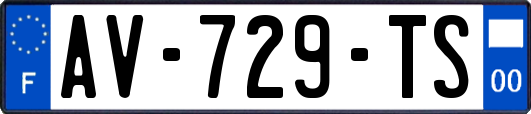 AV-729-TS