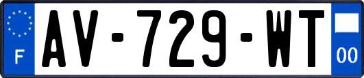 AV-729-WT