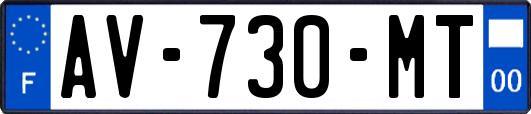 AV-730-MT