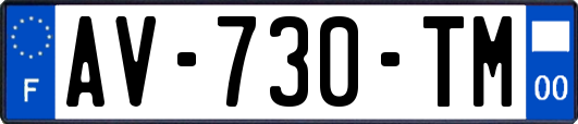 AV-730-TM