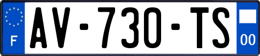 AV-730-TS