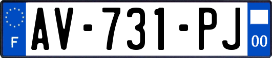 AV-731-PJ