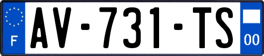 AV-731-TS